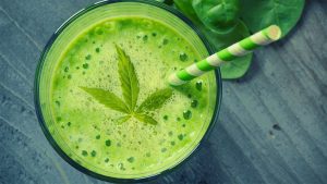 Facts You Would Want to Know about Marijuana Detox